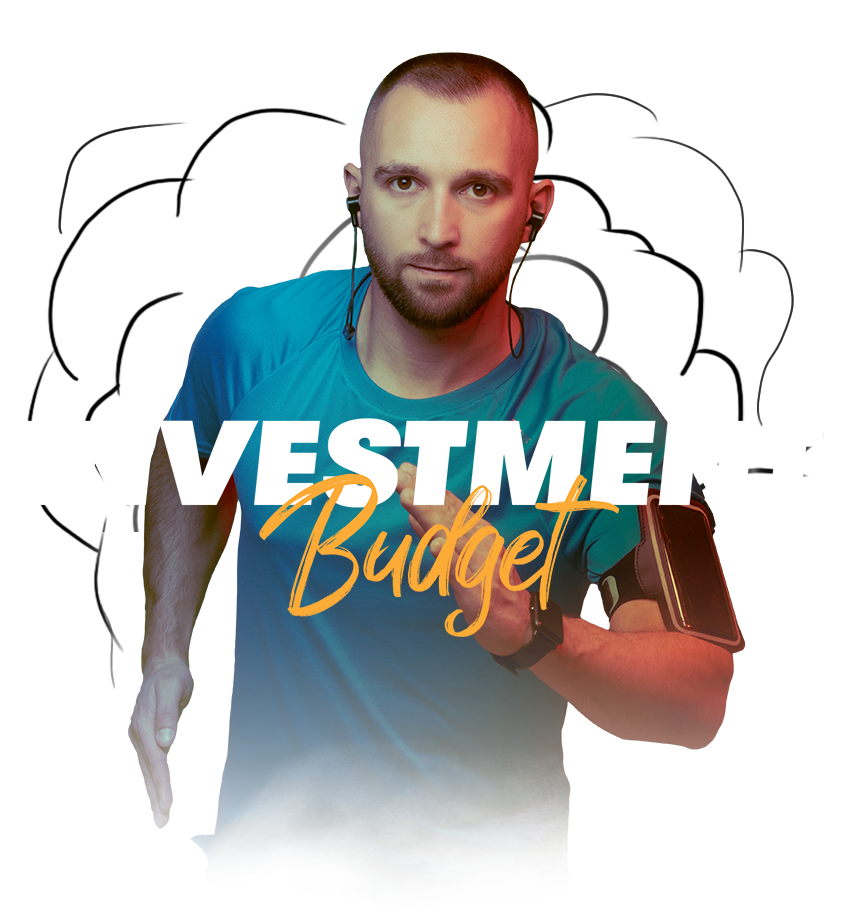 Marketing investment budget